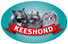 Keeshond thumbnail