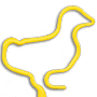 Duck thumbnail