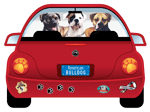 American Bulldog thumbnail