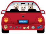 Cairn Terrier thumbnail