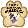 American Bulldog thumbnail