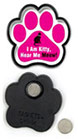 I am Kitty, Hear me Meow! thumbnail