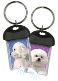 Bichon thumbnail