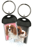 Cavalier King Charles thumbnail