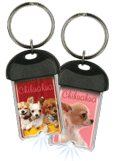 Chihuahua thumbnail