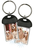 Cocker Spaniel thumbnail