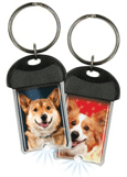 Corgi thumbnail