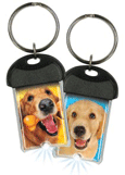 Golden Retriever thumbnail