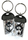 Husky thumbnail