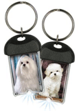 Maltese thumbnail