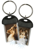 Sheltie thumbnail