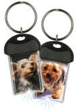 Yorkie thumbnail
