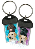 Labrador thumbnail