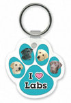 Labrador thumbnail