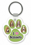 Basset Hound thumbnail