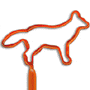 Fox thumbnail