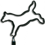 Horse Bucking thumbnail