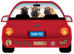 Shar Pei thumbnail