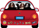 Springer Spaniel thumbnail