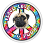 Peace, Love & Pugs thumbnail