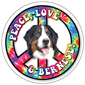 Peace, Love & Bernese thumbnail