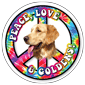 Peace, Love & Goldens thumbnail