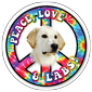 Peace, Love & Labs thumbnail