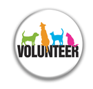 Volunteer thumbnail
