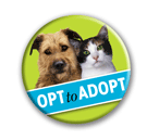 Opt to Adopt thumbnail