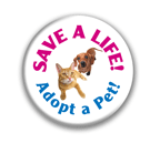 Save a Life thumbnail
