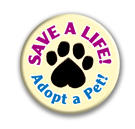 Save a Life thumbnail