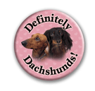 Definitely Dachshunds thumbnail