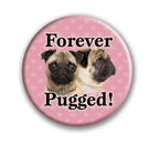 Forever Pugged thumbnail