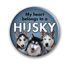 Husky thumbnail