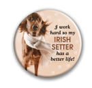Irish Setter thumbnail