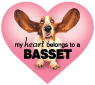 Basset thumbnail