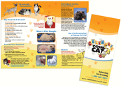 Cats thumbnail
