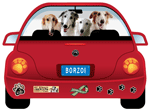 Borzoi thumbnail