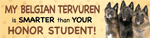 Belgian Turvuren/Honor Student thumbnail