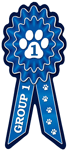 Group 1 (blue) thumbnail