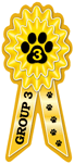 Group 3 (yellow) thumbnail