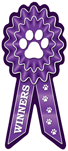 Winners (purple) thumbnail