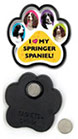 Springer Spaniel thumbnail