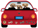 Puggle thumbnail