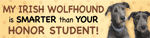 Irish Wolfhound/Honor Student thumbnail