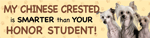 Chinese Crested/Honor Student thumbnail