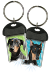 Doberman thumbnail