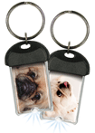 Pekingese thumbnail