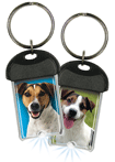 Jack Russell thumbnail