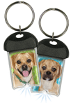Puggle thumbnail
